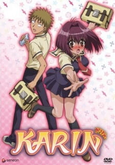 بوستر Karin