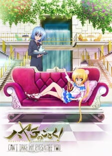 بوستر Hayate no Gotoku! Can't Take My Eyes Off You