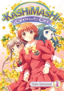 بوستر Kashimashi: Girl Meets Girl