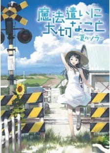 بوستر Mahoutsukai ni Taisetsu na Koto: Natsu no Sora