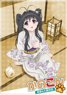 بوستر Kanokon: Manatsu no Dai Shanikusai