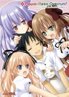 بوستر Mayoi Neko Overrun! Specials