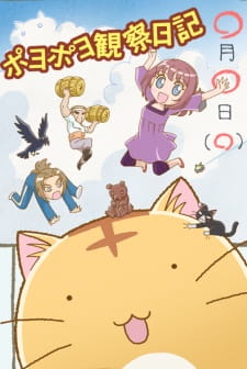 بوستر Poyopoyo Kansatsu Nikki