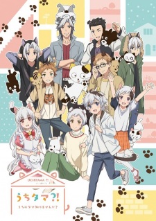 بوستر Uchi Tama?! Uchi no Tama Shirimasen ka?
