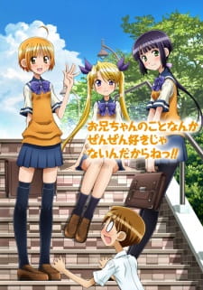 بوستر Oniichan no Koto nanka Zenzen Suki ja Nai n da kara ne!!
