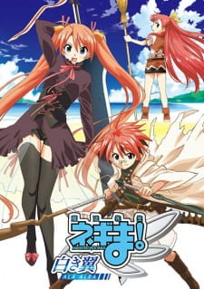 بوستر Mahou Sensei Negima!: Shiroki Tsubasa Ala Alba