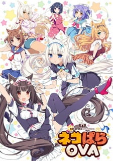 بوستر Nekopara OVA