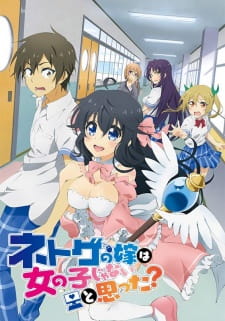 بوستر Netoge no Yome wa Onnanoko ja Nai to Omotta?
