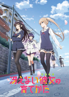بوستر Saenai Heroine no Sodatekata